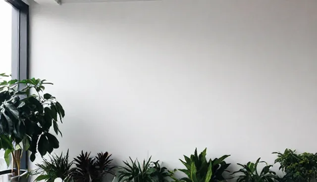 企业展示中供需对接服务的检查要点